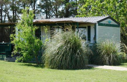 MAS MAURANE-Le Platane avec SPA privé aux portes d'ARLES - Foto 6
