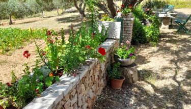 Holiday home Ivan Bol - Foto 3, Garden view