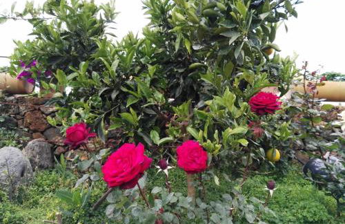 Casa Fagundo - Foto 16