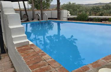 El Recodo del Tajo - Photo 3