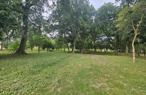 Almazówka - cichy wypoczynek lub integracja w większym gronie - Foto 11