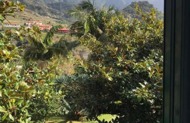 Palheirinho da Camélia - Foto 27