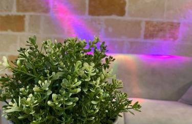 Il Rifugio - Foto 18