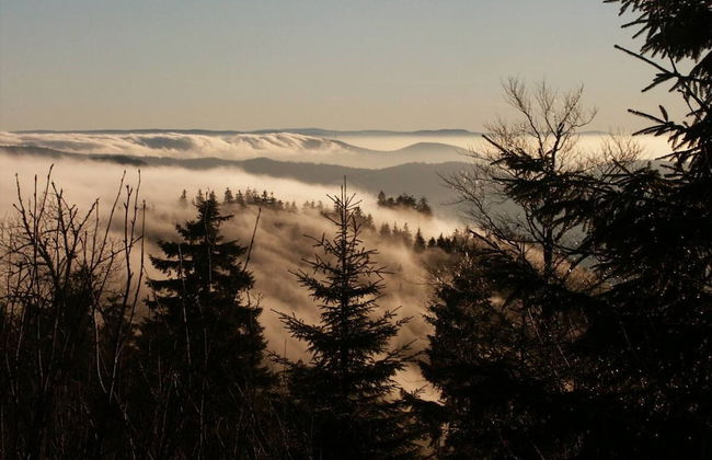 Hideaway Near Black Forest - Foto 23