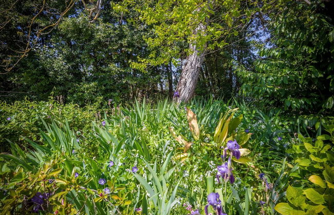 Belvilla by OYO Arte e Orto - Foto 14