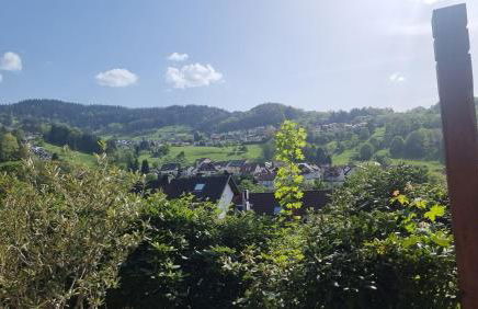 Ferienwohnungen Bühlertal - Foto 12