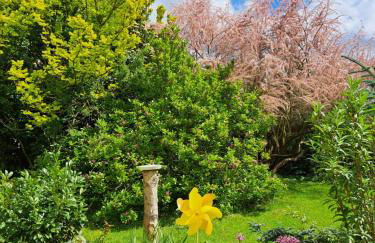 "Zur Alten Schusterei" 98597 Breitungen, Rathausstraße 8 - Foto 27