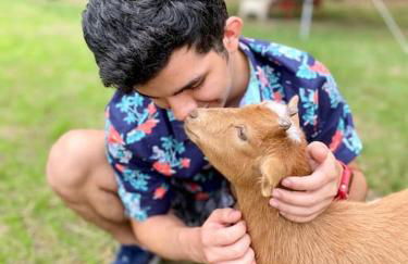 Luxury Farm Stay-Bonds Corner Bungalow-Wolf Pine Hollow - Foto 50