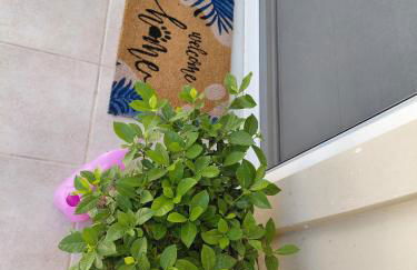 S&M Cozy Garden Lagonissi - Photo 49