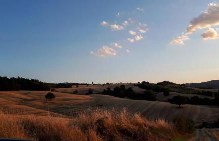 Podere Pievina Delle Corti - Dimora di Campagna - Photo 16