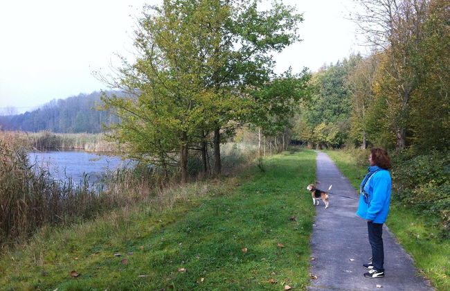 Villa in Biddinghuizen by Lake Vulwe - Photo 25