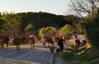 Casa do Faqueiro de Casas Brioso - Foto 33