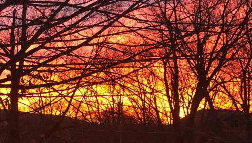 Triple Brick on Main - Photo 3