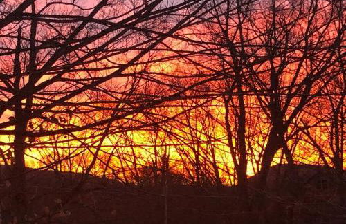 Triple Brick on Main - Photo 3