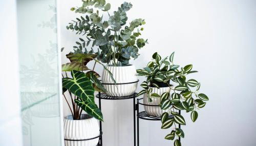 Apartman Karla - Foto 4