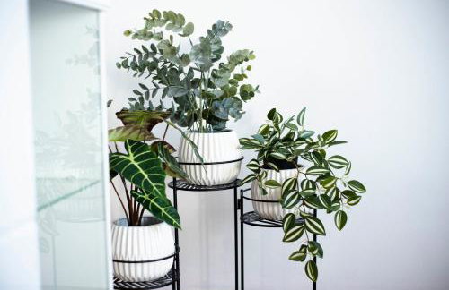 Apartman Karla - Foto 4