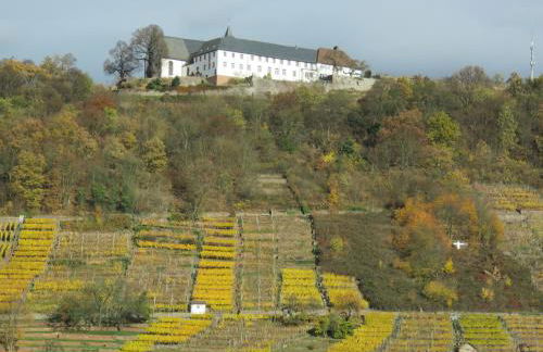 Ferienwohnungen Haus Albert - Foto 35