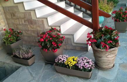 Prosforio - Photo 27