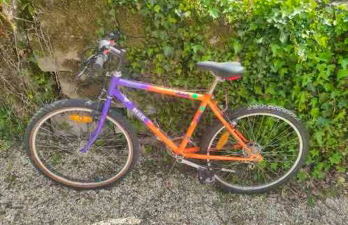 Maison accueillante à Bléré avec cheminée et terrasse - Foto 29