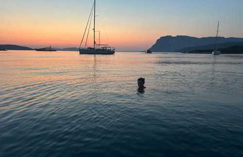 Villa con giardino e spettacolare vista mare a Porto San Paolo - Foto 37