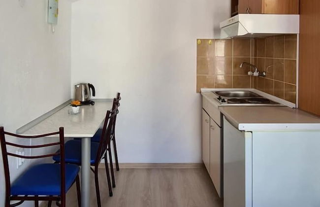 Olive Garden Apartments Petrovic - Foto 15