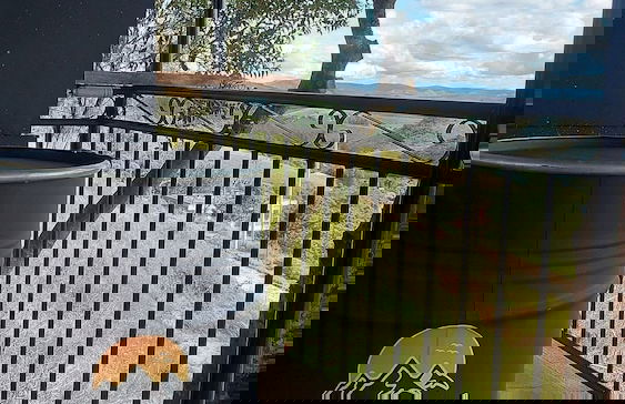 Villa Sunset Chalés Ibitipoca - Foto 15