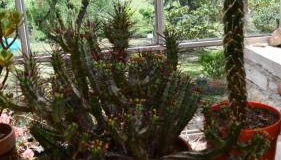 Gîte Domaine du Théron - Photo 4