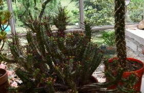 Gîte Domaine du Théron - Photo 4