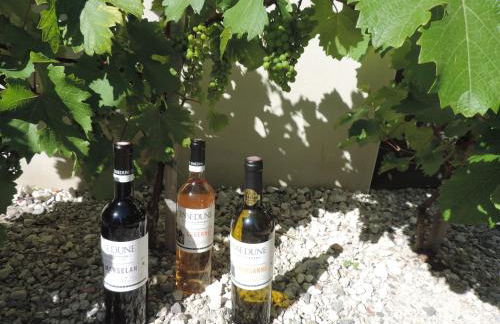 Gîtes Le "Val-Léa" - Foto 37