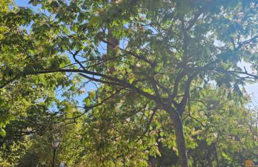 Lounge garden sea relax - Foto 76