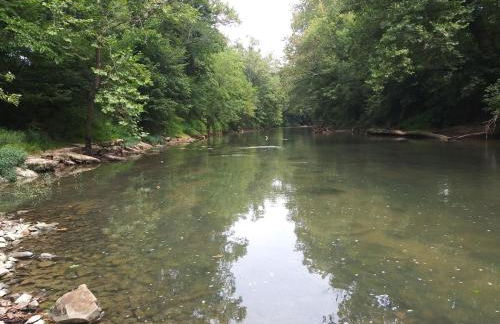 Peaceful Cabin on Rough River - Foto 13