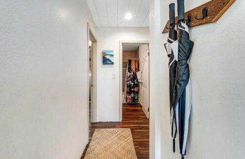 Sea Turtle Life - Photo 18