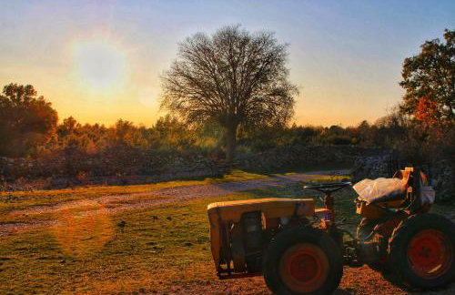 FJAKA - Kuća za odmor - NP Krka - Photo 46