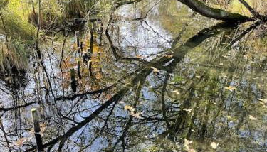 Annex at Southfields in idyllic Hampshire village - Foto 4