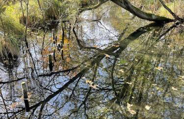 Annex at Southfields in idyllic Hampshire village - Photo 4