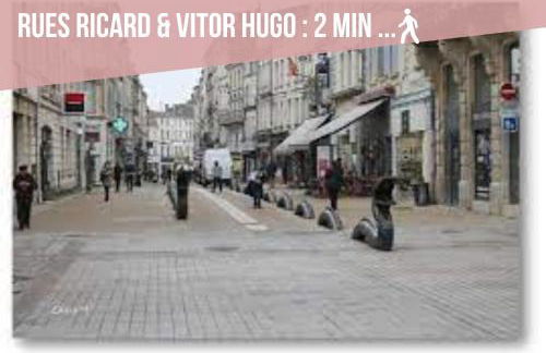 Appartement rénové - wifi - jardin - centre de Niort - Foto 19