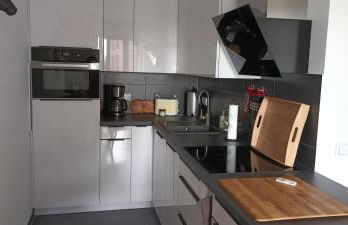 Wunderschöne Ferienwohnung direkt an der Elbe, Alt-und Neustadtnähe - Foto 3