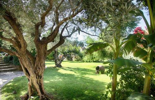 Gîte L'Olivier (Bastide Sainte Agnès) - Foto 12