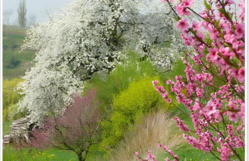 Weingut Ringwald - Foto 24