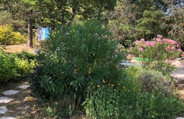 La Villa du Castel - Foto 64