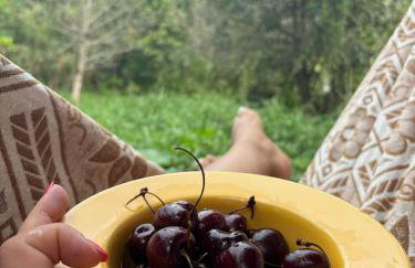 Casa Descanso e Natureza I - Foto 17