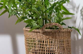 Lithies Zante Living - Foto 52