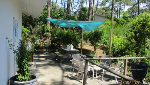 une maison lumineuse sous les pins - Foto 5