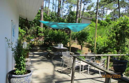 une maison lumineuse sous les pins - Foto 5