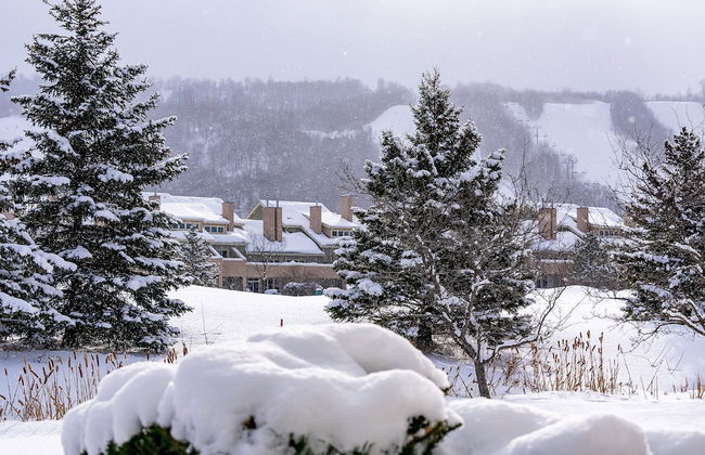 Blue Mountain - Photo 45