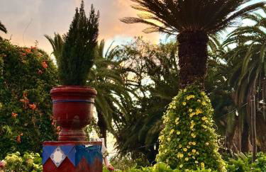 Finca La Principal - Foto 61