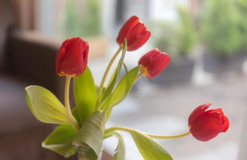 Il borghetto di Torno - Foto 42