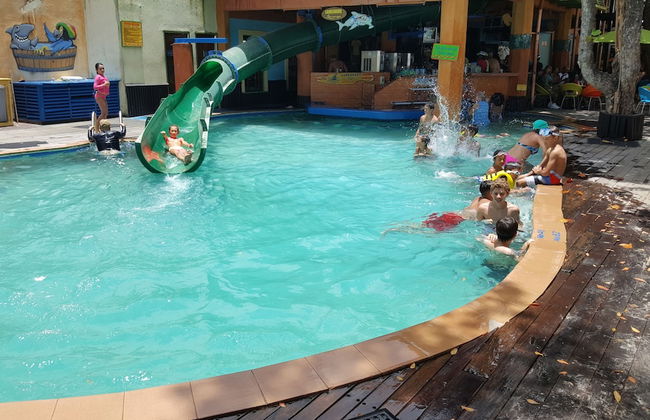 Ocho Rios Villa at Coolshade III - Photo 35