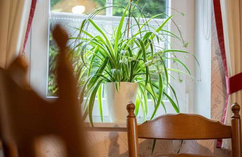 Ferienwohnung Mientje, 35214 - Foto 22