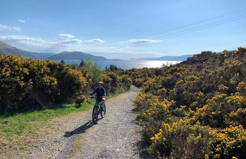 Ash, Birch and Rowan Self Catering Cabins - Photo 49